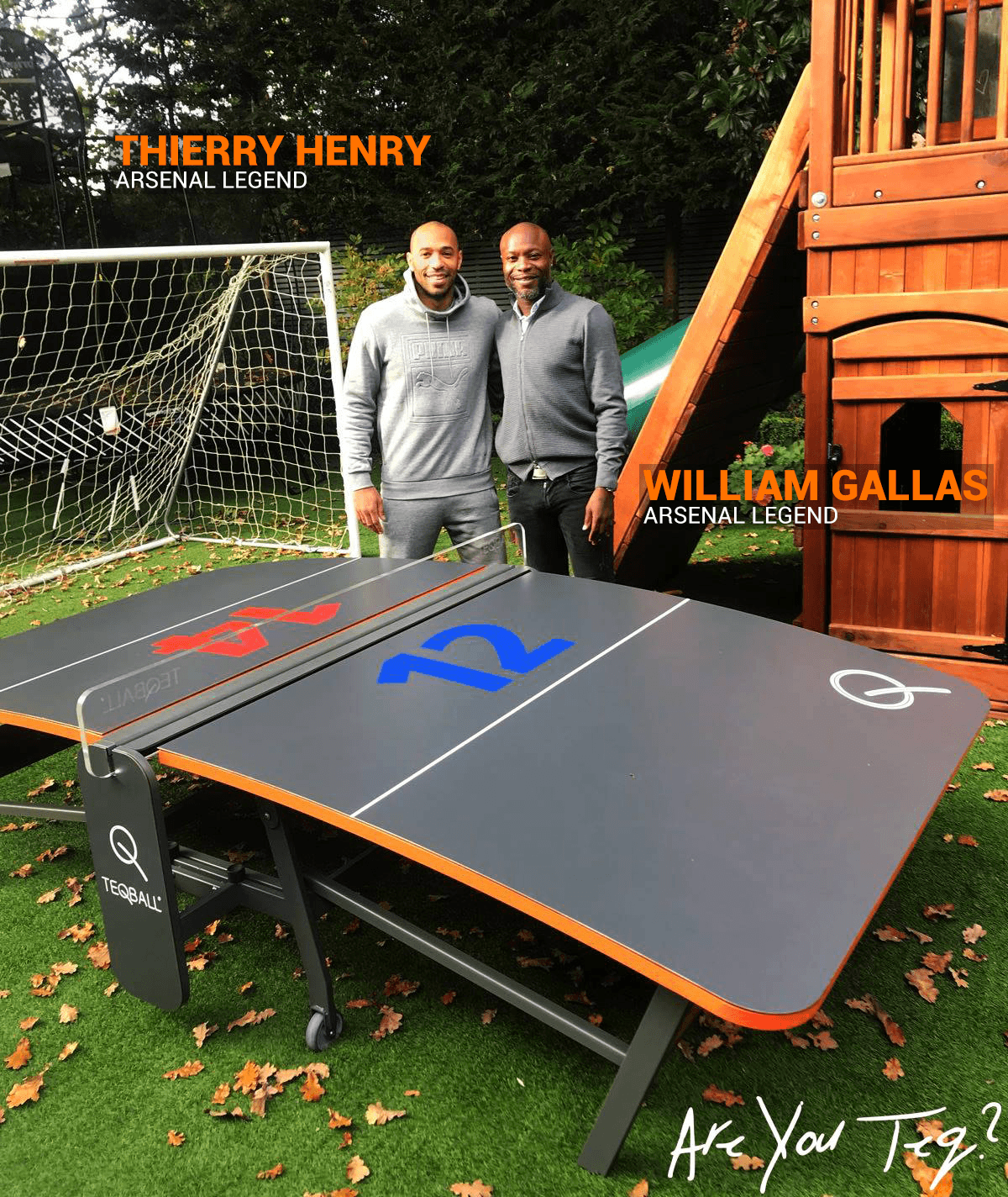 Teqball As used by the Professionals! Streetscape Products & Services